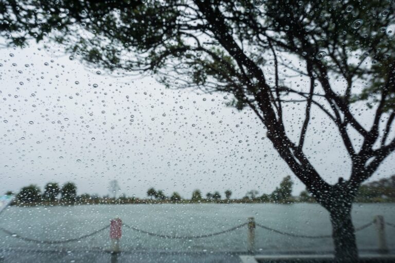 【颱風休診公告】遠傳盛傳於10/1休診一日 1 shoreline viewed through the windshield 2023 11 27 05 03 21 utc