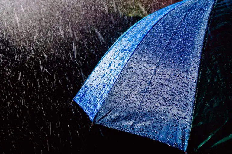 【颱風休診公告】遠傳盛傳於10/2、10/3休診 4 multicolored umbrella under raindrops isolated on 2023 11 27 05 07 25 utc